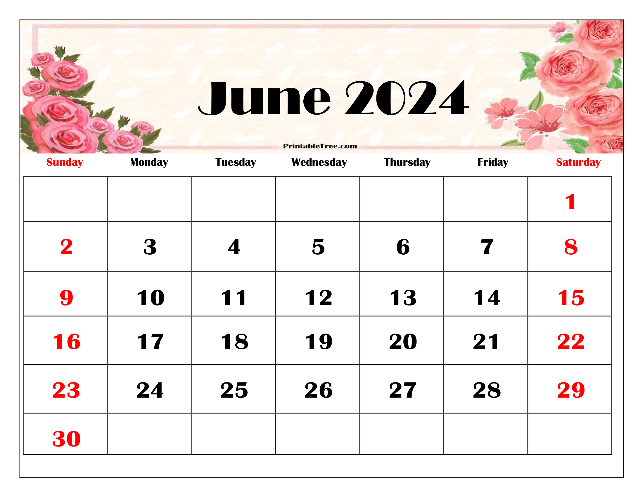 Blank June 2024 Calendar Printable PDF Templates Free Download - Free Printable 4x6 Floral Calendar 2024