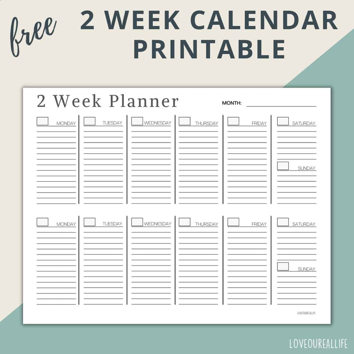 Free Printable 2 Week Calendar 2024 2024 CALENDAR PRINTABLE | Free Printable 2 Week Calendar 2024