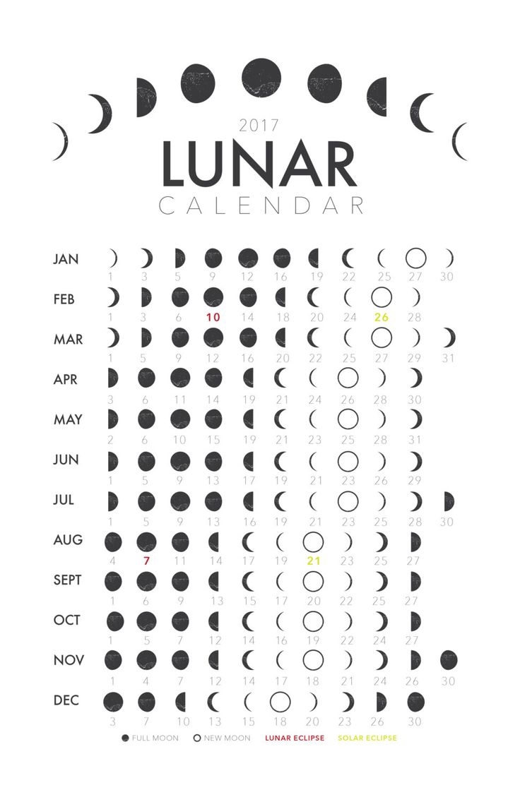 Lunar Calendar November 2024 Feb 2024 Calendar - Free Printable 2024 Moon Calendar