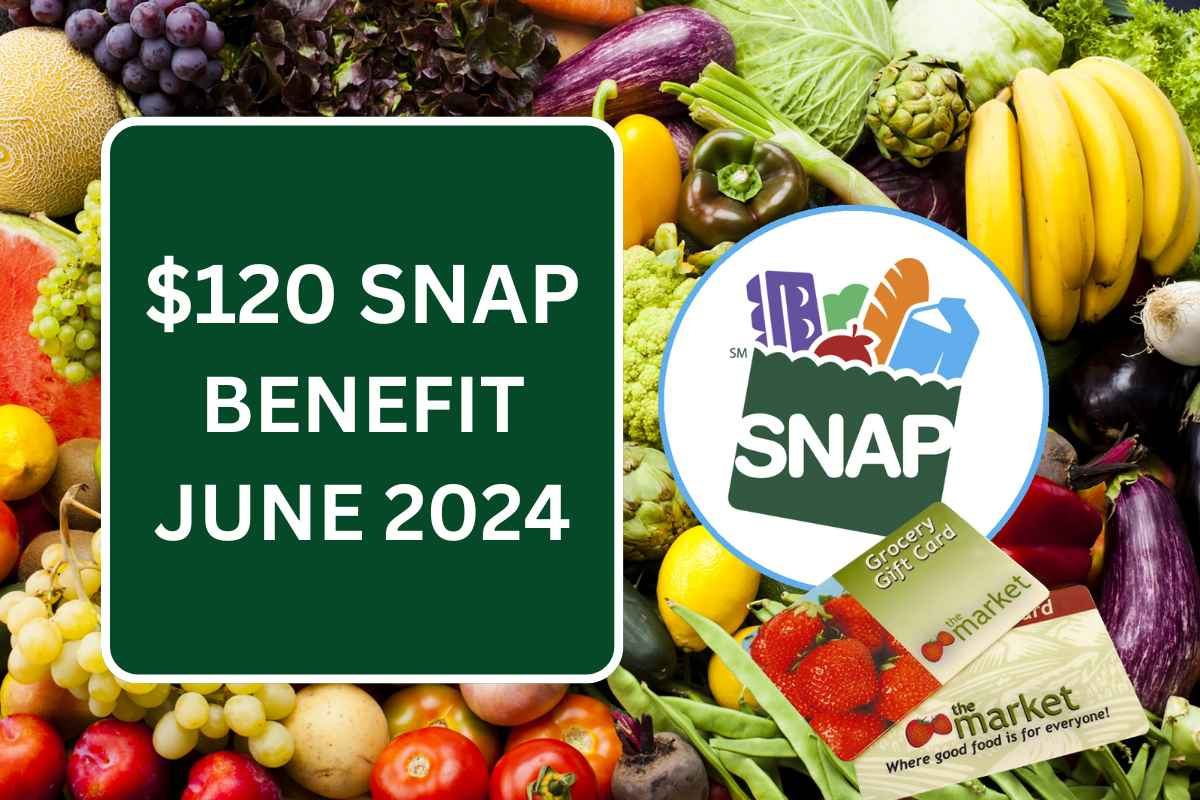 $120 Snap Benefit June 2024, Check Eligibility &amp;amp; Payment Dates within EBT Calendar July 2024