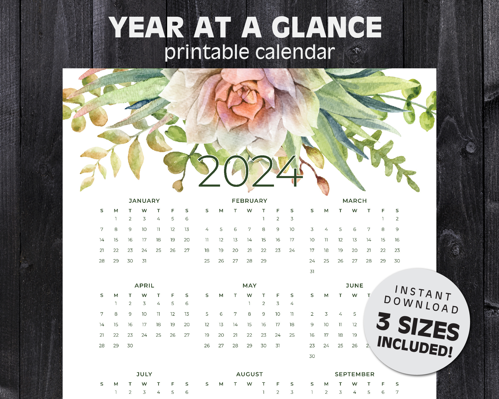 Succulent Calendar 2024 Printable Year At A Glance inside Free Printable Calendar 2024 Succulents
