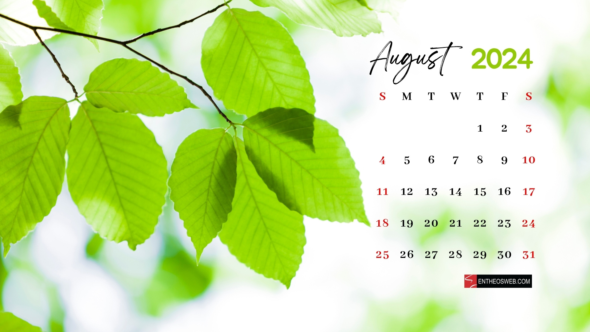 August 2024 Desktop Wallpaper | Entheosweb with regard to August 2024 Calendar Desktop Wallpaper