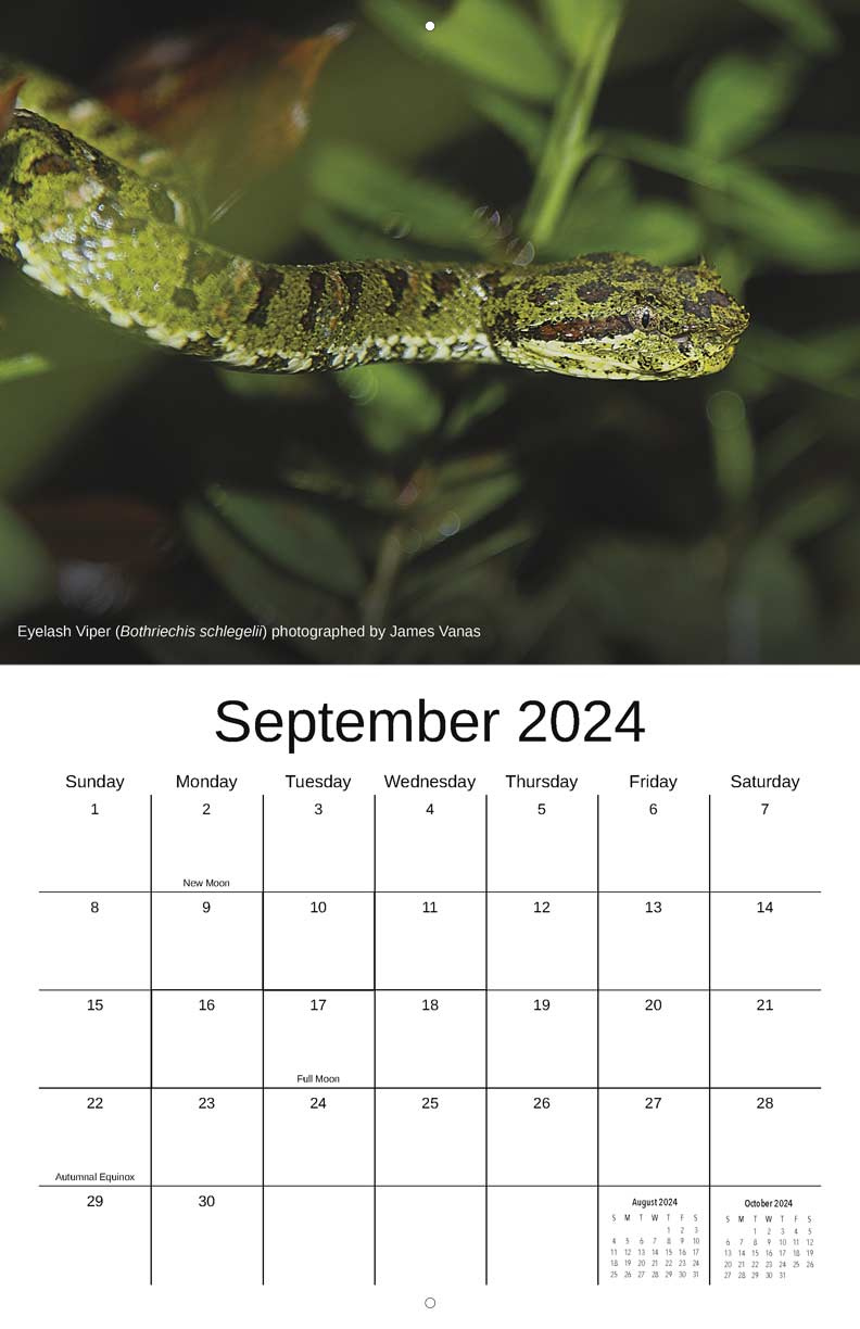 Advocates For Snake Preservation 2024 Calendar - Yearbox Calendars inside November 2024 Calendar Printable Snake