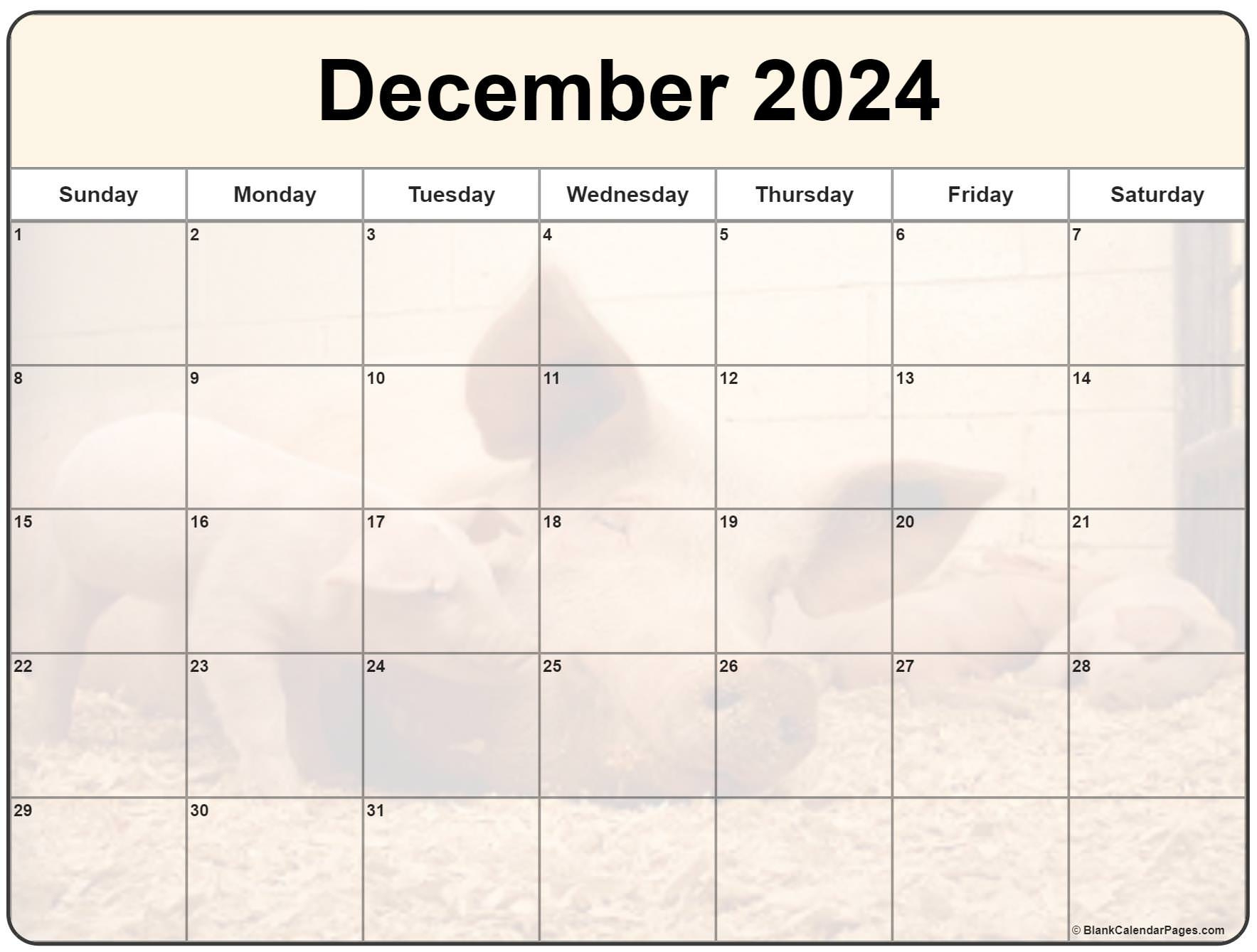 Collection Of December 2024 Photo Calendars With Image Filters. with regard to 2024 December Calendar Printable Piglet