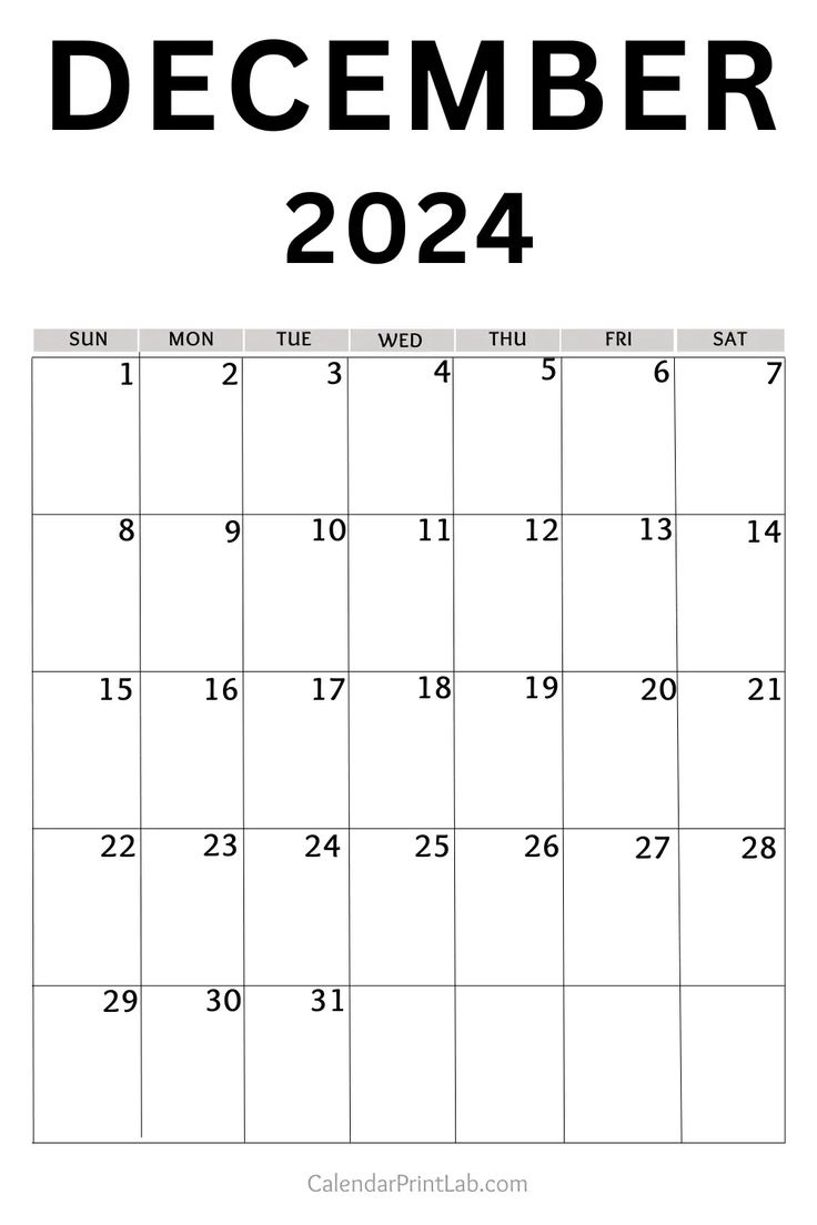 December 2024 Calendar Printable in Blank December 2024Vertical Calendar Printable