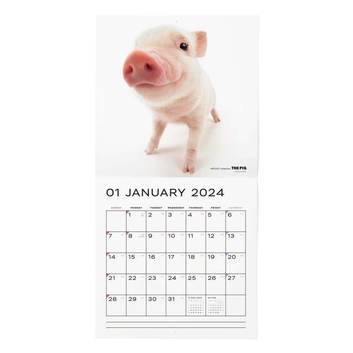 The Pig 2024 Calendar Large Size 290 × 290Mm throughout 2024 December Calendar Printable Piglet