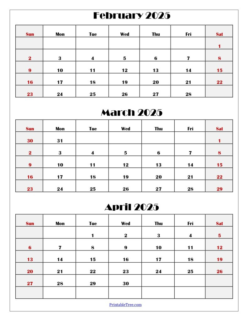 January To March 2025 Calendar | Three Months Calendar for Calendar February March 2025