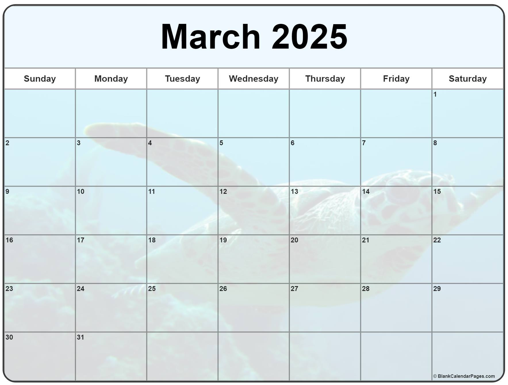 Collection Of March 2025 Photo Calendars With Image Filters. in March 2025 Printable Calendar Wiki