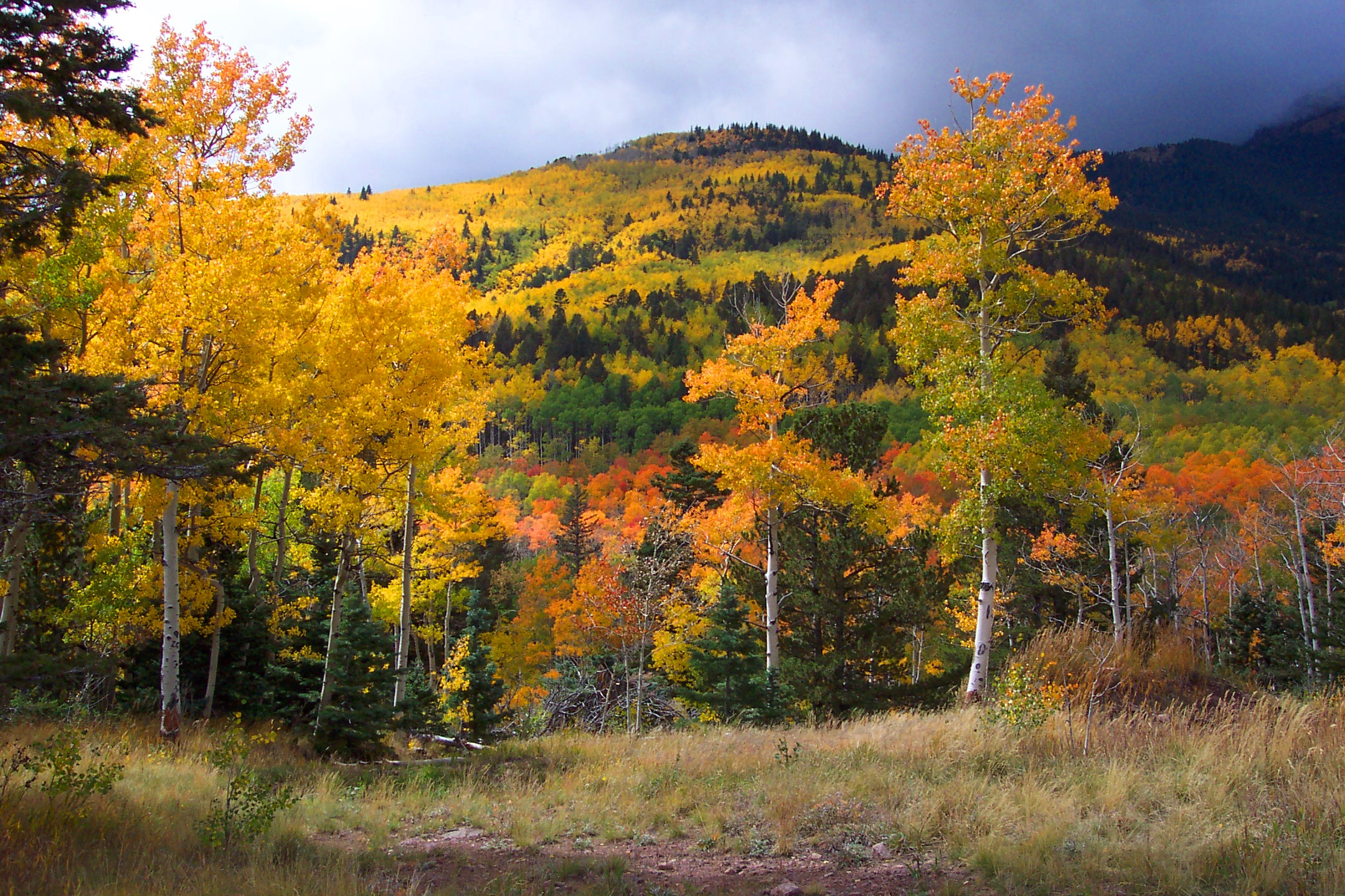 Enjoying Autumn In The National Parks (U.s. National Park Service) for Best National Parks To Visit in October 2025