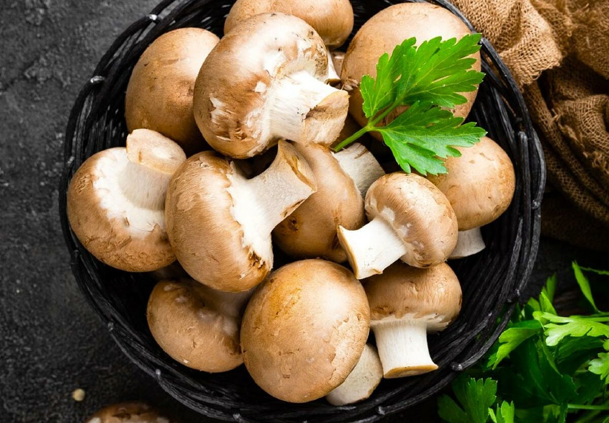 National Mushroom Day - October 15, 2025 - National Today within October 15 National Day 2025