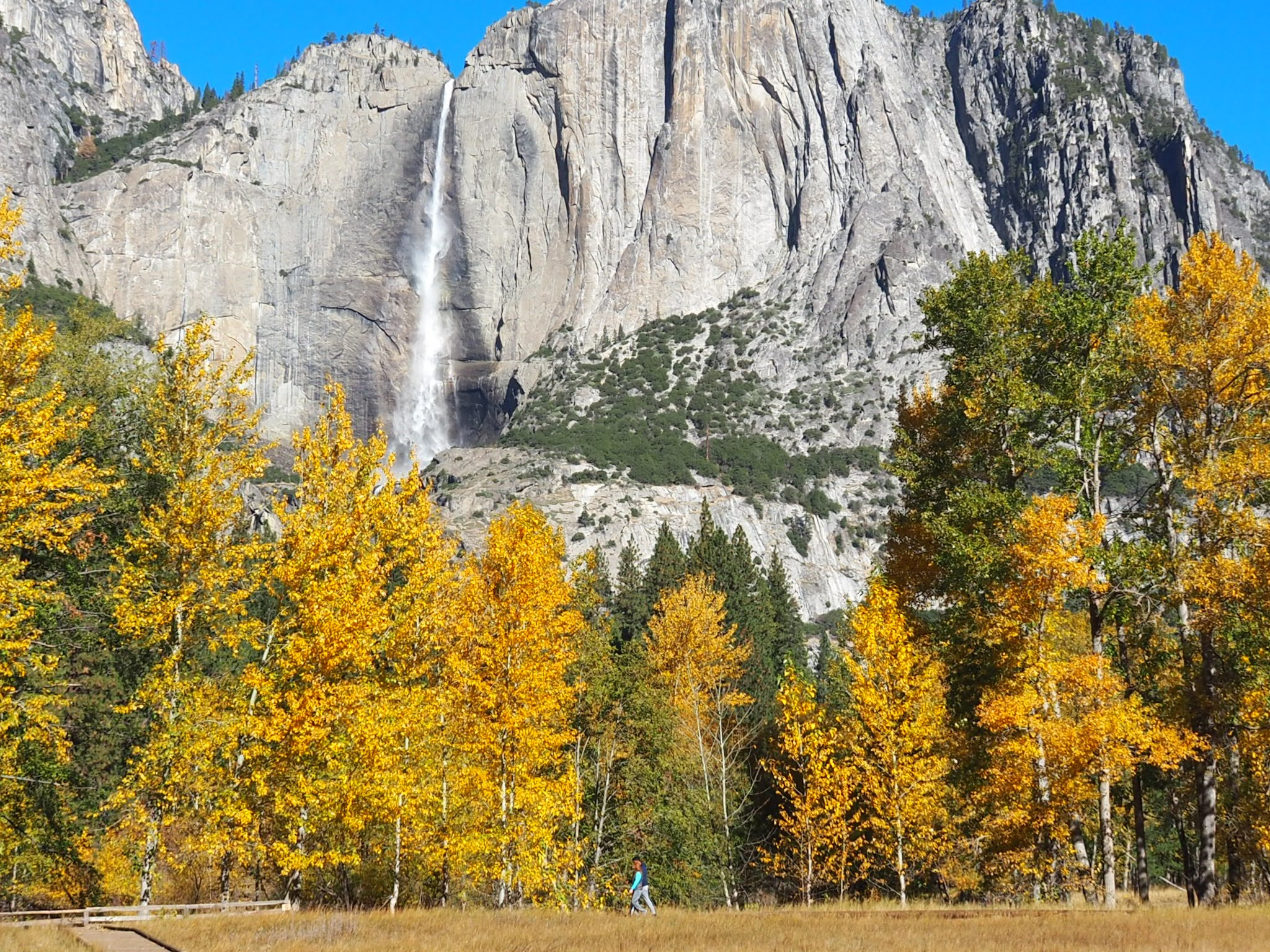 Yosemite In October: A Complete Guide - The Redwoods In Yosemite ® in Yosemite National Park Weather In October 2025