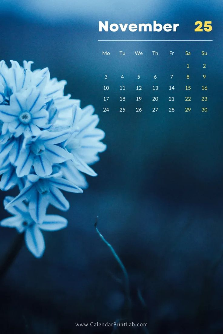 Iphone 2025 Calendar Wallpapers In Hd Download regarding November 2025 Calendar Wallpaper Iphone
