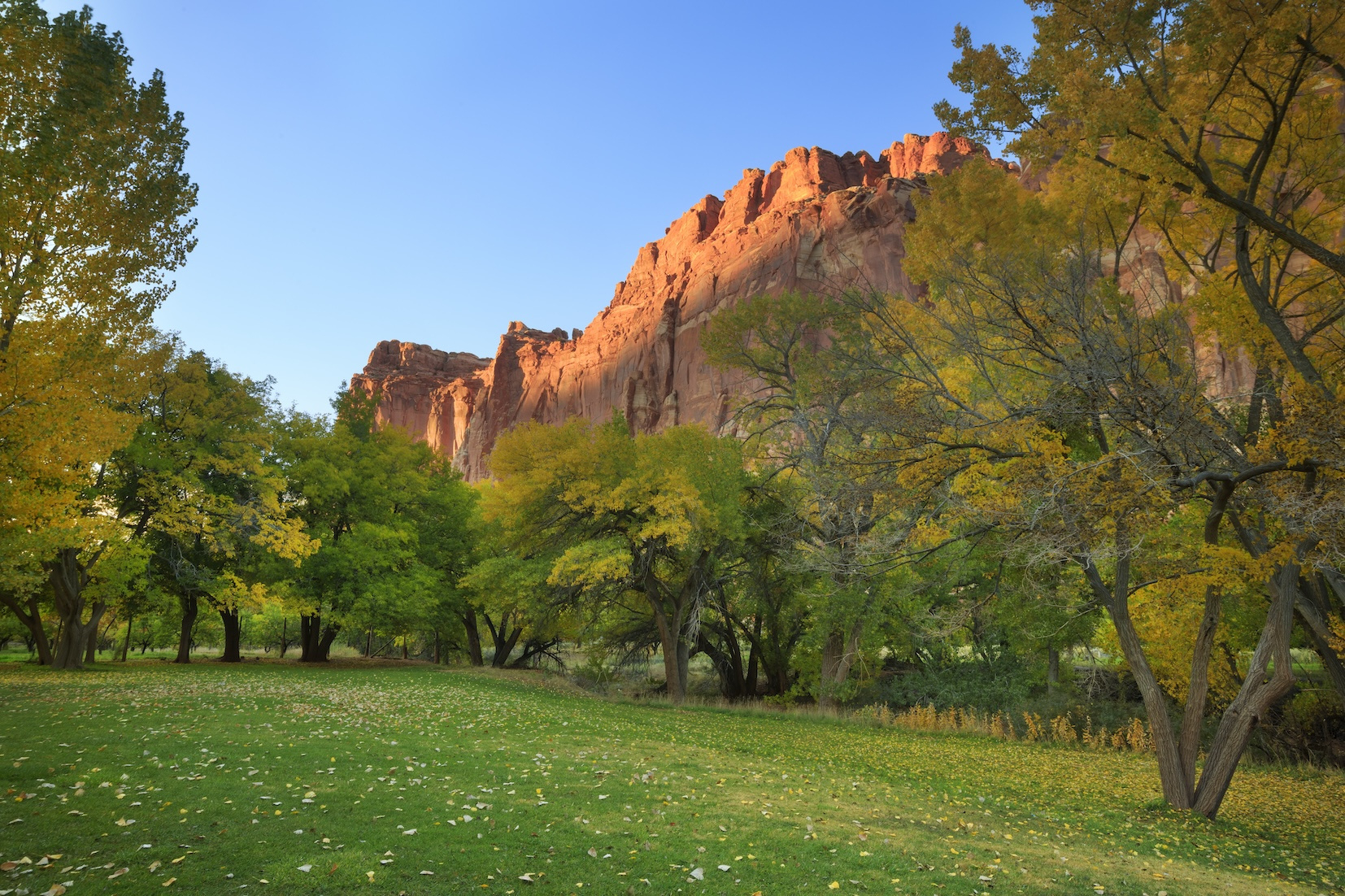 Best Time To Visit Zion National Park In 2025 – Seasonal Guide for Zion National Park In October 2025