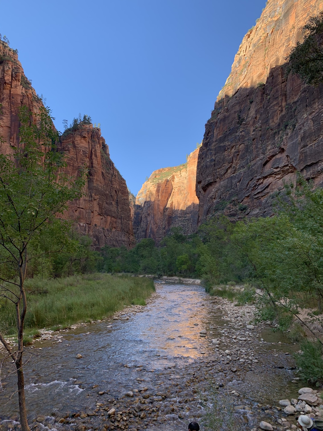 Zion National Park Fall Foliage 2025: Best Colors, Trails &amp;amp; Tips within Zion National Park In October 2025